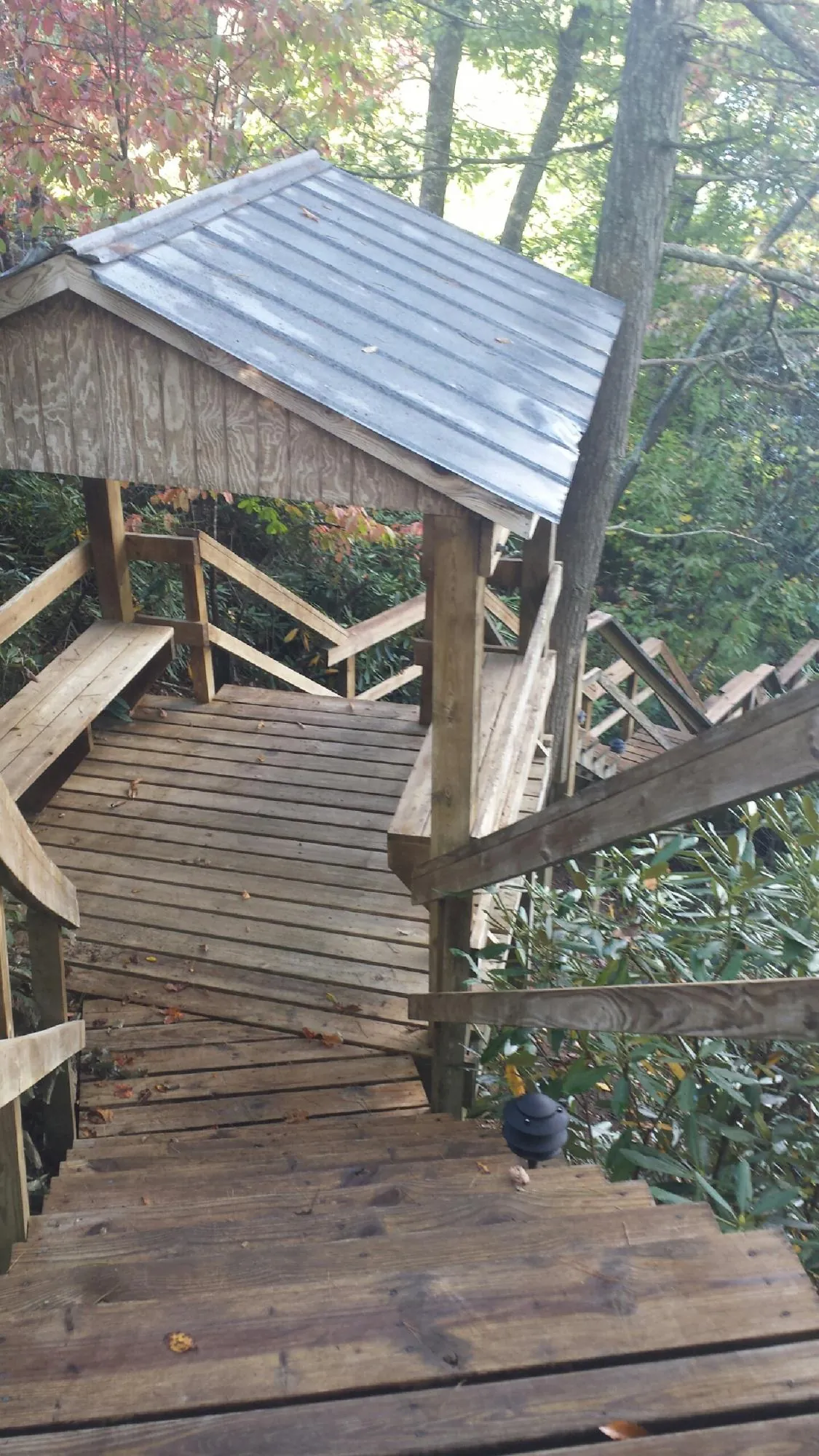 Metal roofed shelter over wooden steps on a wooded walkway — Skylight Repair & Installation work by our crew in Windermere